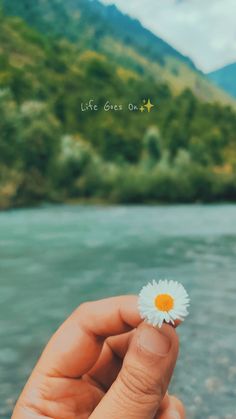 Wallpapers Tiktok Photo, Nature Photography Quotes, Inspirational Quotes Background, Instagram Picture Quotes, Snap Streak Ideas Easy, Look Up Quotes, Nature Instagram