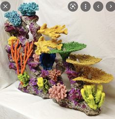 an underwater scene with corals, sponge and other marine life on display in front of a white backdrop