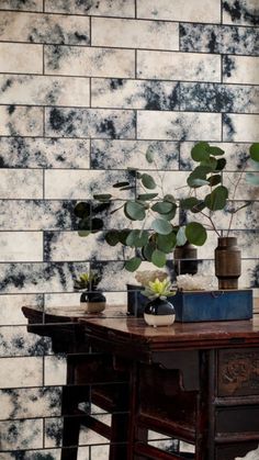 some plants are sitting on a table in front of a wall with black and white tiles