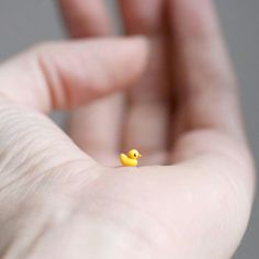 a tiny yellow rubber ducky sitting in someone's hand