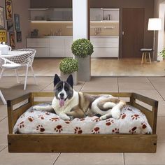 a dog laying on top of a bed in a living room