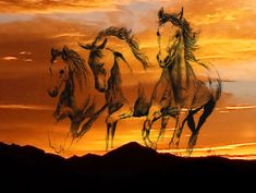 two horses are galloping in the sunset