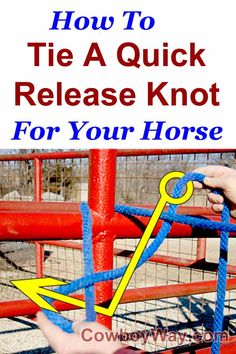 how to tie a quick release knot for your horse