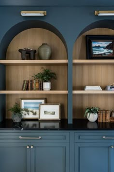 two bookshelves with pictures and plants on them