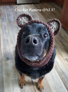 a dog wearing a knitted hat with ears on it's head and looking up at the camera