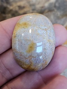 a close up of a person holding a rock