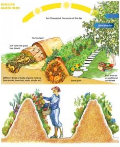 an illustrated diagram shows the stages of building raised beds and how they are used to grow vegetables