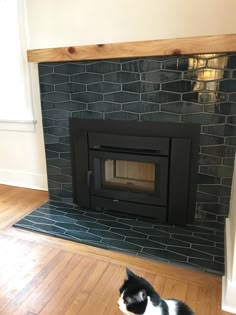 a black and white cat sitting on the floor in front of a fireplace with a brick hearth