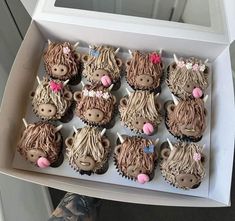 twelve cupcakes in a box decorated like animals