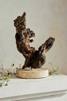 a piece of driftwood sitting on top of a white mantle next to greenery