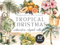 the tropical christmas watercolor clipart collection includes oranges, pomegranates and palm trees