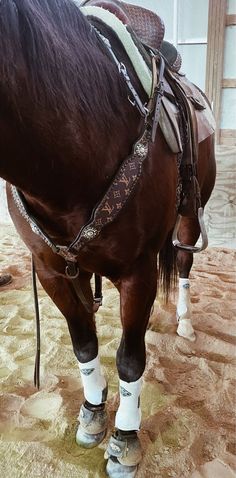 a brown horse standing on top of a sandy ground