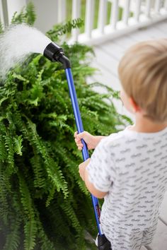 a little boy that is standing in front of a plant with a hose on it