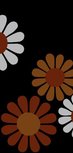 four different colored flowers on a black background