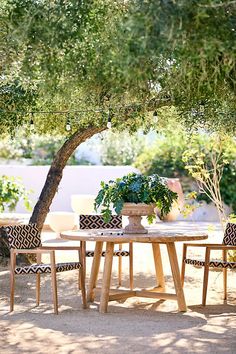 a table and chairs under a tree with potted plants on the table in front