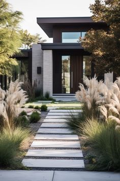 a modern house with tall grass and stone walkway leading up to the front door area