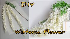 two pictures with the words diy and white flowers