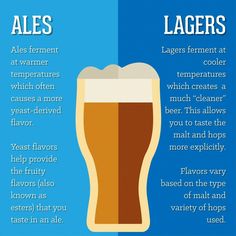 the differences between ales and lagers infographical poster with beer glass on blue background