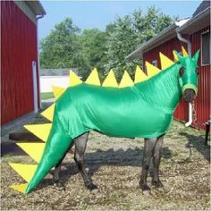 a horse that is wearing a green and yellow costume with the words lol, i'm a dragon on it