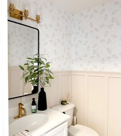 a white toilet sitting next to a sink in a bathroom under a mirror with plants on it