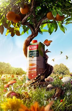 an orange juice carton sitting on the ground next to a tree with butterflies flying around it