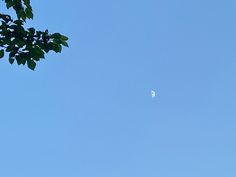 the moon is visible in the blue sky