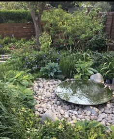 a garden filled with lots of plants and rocks