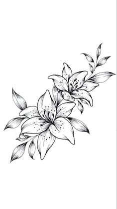 a black and white drawing of flowers