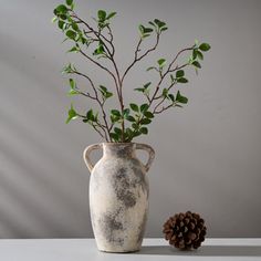 a white vase with green plants in it next to a pine cone