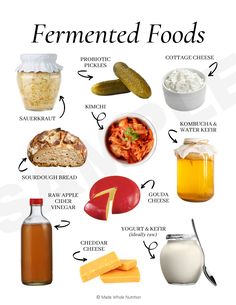 Functional Health, Health Research, Holistic Nutrition, Healing Food, Food Facts, Fermented Foods, Healthy Gut, Health Diet, Health And Nutrition