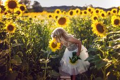 Sussex County Sunflower Maze - Hudson Valley NY Photographer (9) Sunflower Pics, Sunflower Maze