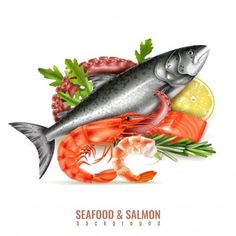 seafood and salmon on white background