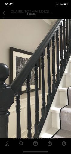 the stairs in this house are black and white