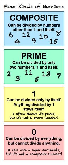 four kinds of numbers with the words prime and primes in each one's letters