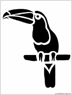 a black and white drawing of a toucan sitting on a branch