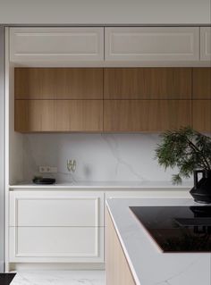 a kitchen with marble counter tops and wooden cabinets, along with a plant on the island