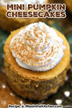 mini pumpkin cheesecakes with whipped cream on top