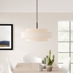 a dining room table with white chairs and a potted cactus in front of it