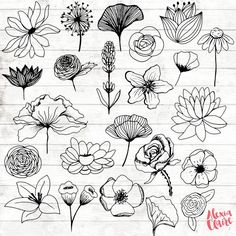 flowers drawn on a piece of paper