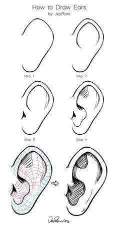 how to draw ears with different shapes and sizes, including the ear area for each child's head