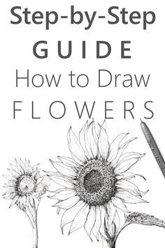 the step - by - step guide to how to draw flowers