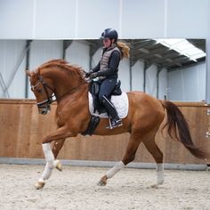 a woman riding on the back of a brown horse in an indoor arena with wooden walls