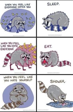 Scary Raccoon, Hate Everyone, Bd Comics, Racoon, Cute Comics, Emotional Health, Good Advice, Self Help, Feel Like