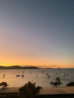 boats in the water at sunset with palm trees