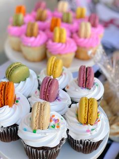 cupcakes and pastries are displayed on plates