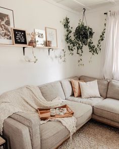 a living room filled with furniture and plants hanging on the wall above it's windows