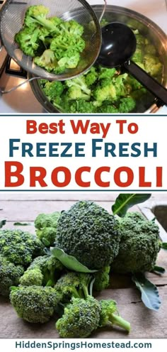 broccoli is the best way to freeze fresh broccoli and it's so easy