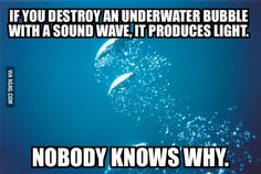 an underwater scene with the caption if you destroy an underwater bubble with a sound wave, it produces light nobody knows why