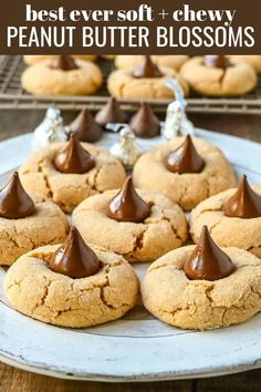 peanut butter blossom cookies on a white plate