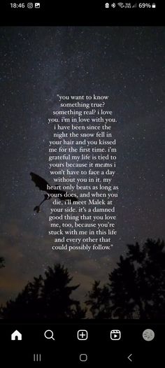 the night sky with stars above it and an image of a bird flying in the distance